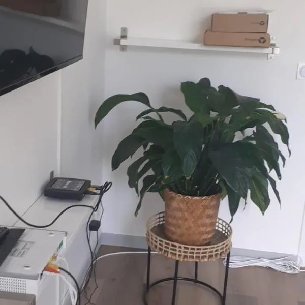 appartement proche paris et Roissy, viešbutis mieste Persan