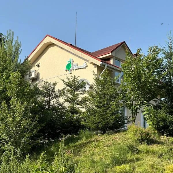 Panna Hotel, hotel v destinaci Soločin