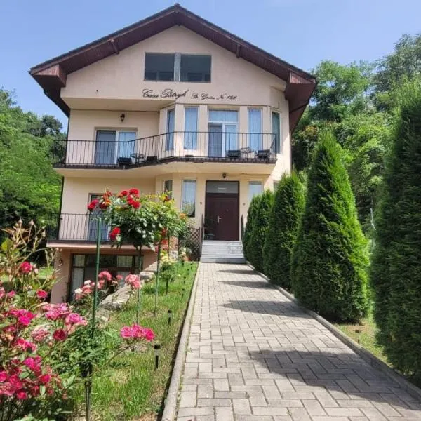 Casa Patryk, hotel v destinaci Oršava