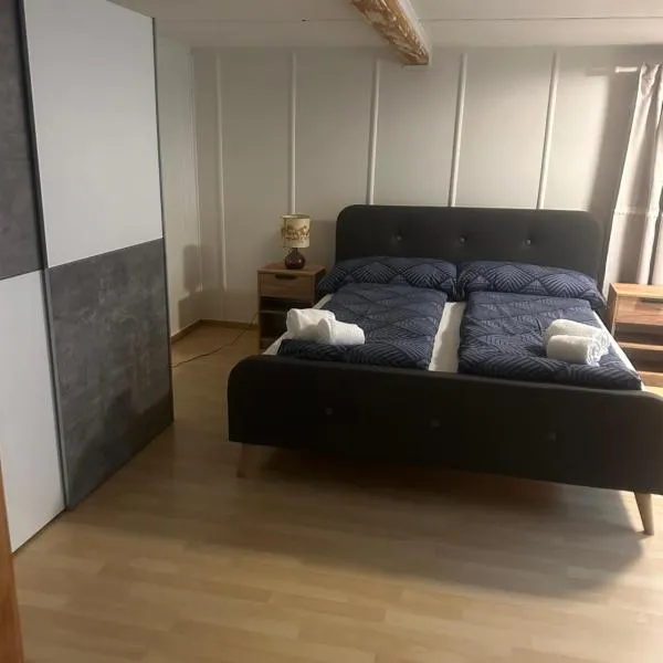 Olti Apartment, hotel v destinaci Bönigen
