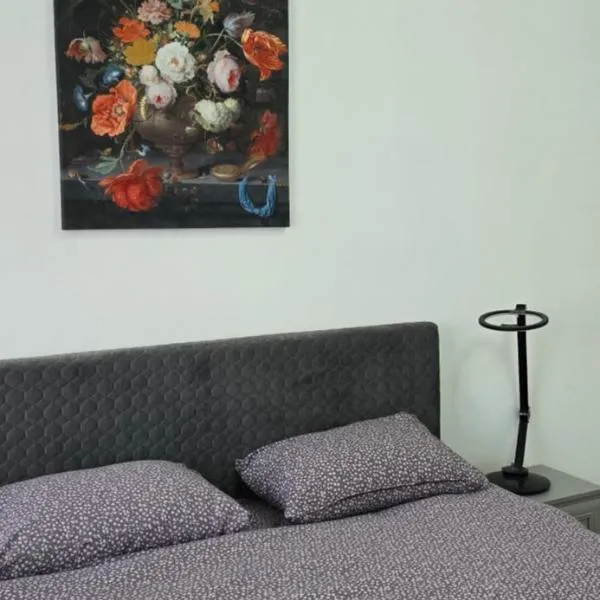 Casa Grande, hotel v destinaci Fagaraš