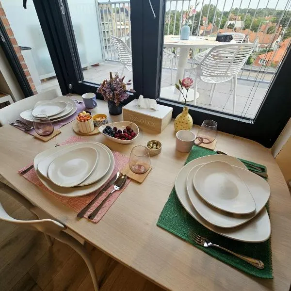 Causy Rooftop Apartment St. Idesbald，位于科克赛德的酒店