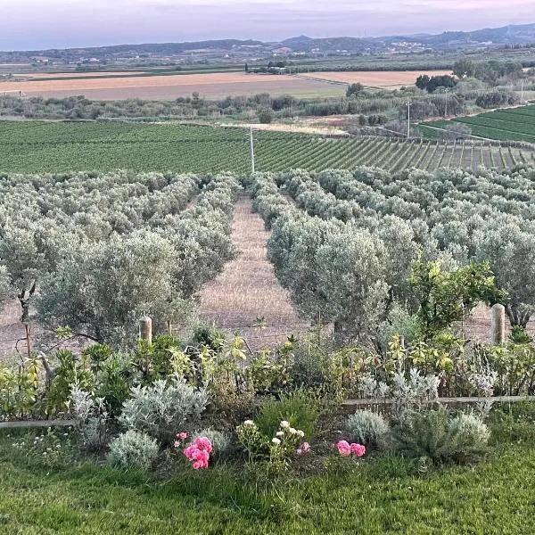 La Pizzuta del Principe, hotel v destinaci Fasana