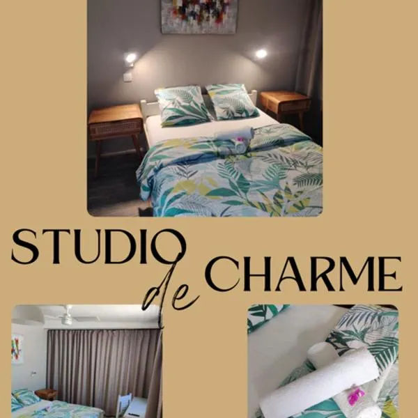 Joli studio cocooning & discret, à 2mns de la 4 voies, hotel in La Possession