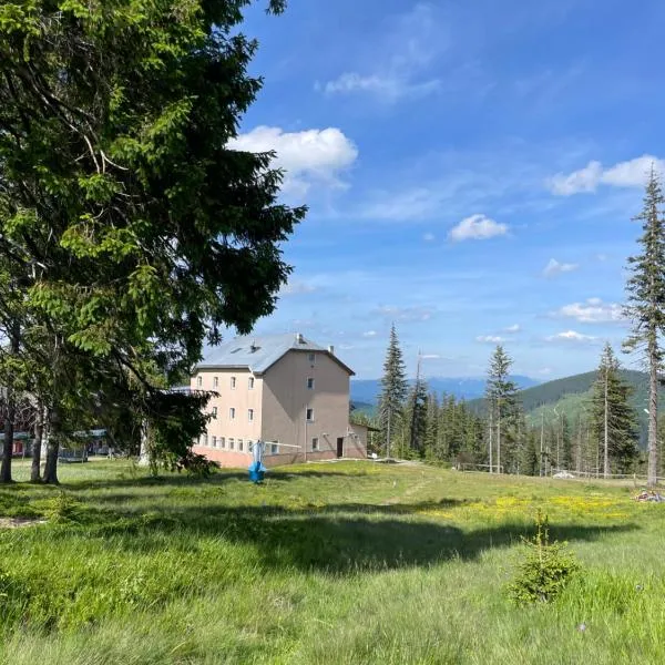 Оаза, hotel v destinaci Drahobrat