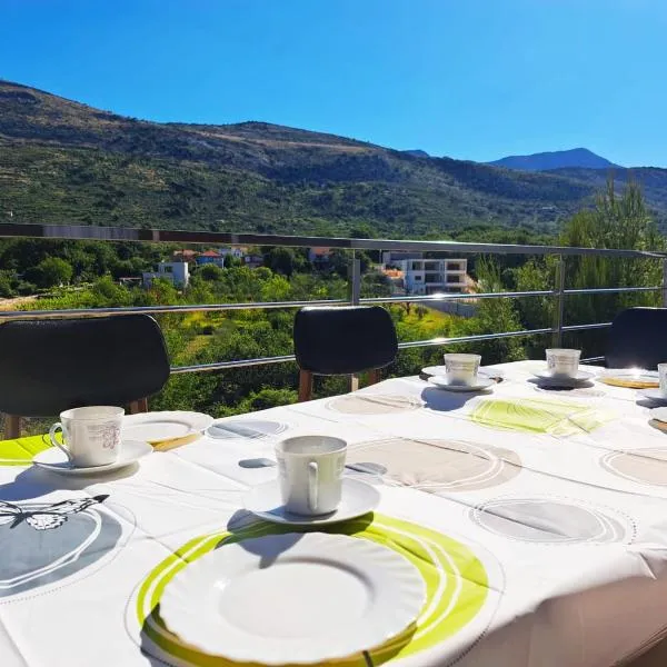 Villa Nikolina, hotel v destinácii Srinjine