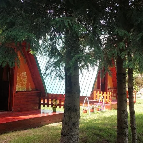 Etno selo -ŠAPAT-, hotel in Šavnik