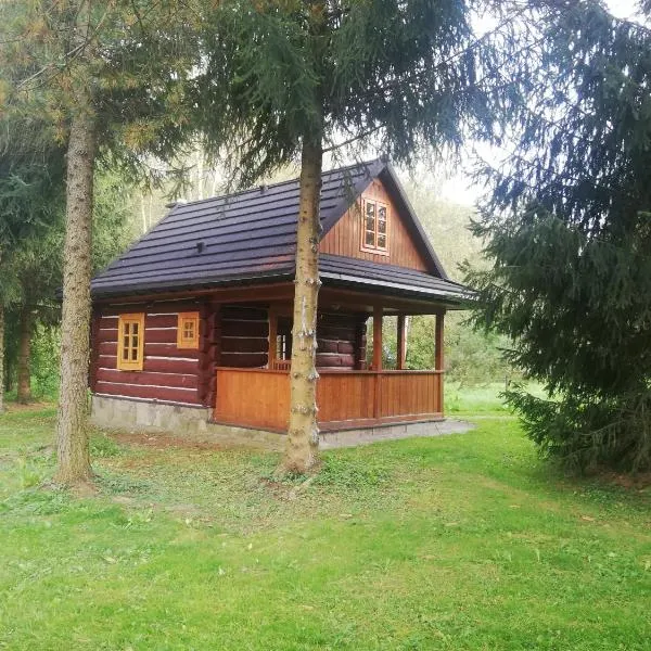 Chatka Na Rozdrożu, hotel in Uście Gorlickie