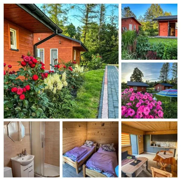 ZIELONY GAJ przy SOLINIE, hotel in Solina