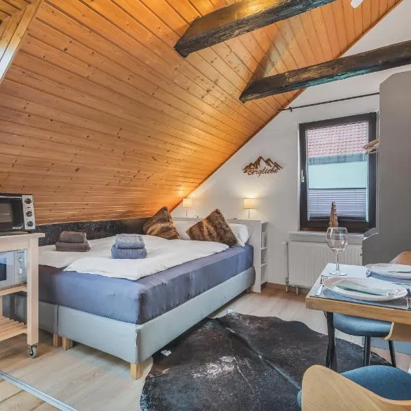 HIRSCH Stadt Apartment 5 - Parkplatz - Zentral, hotel in Bad Harzburg