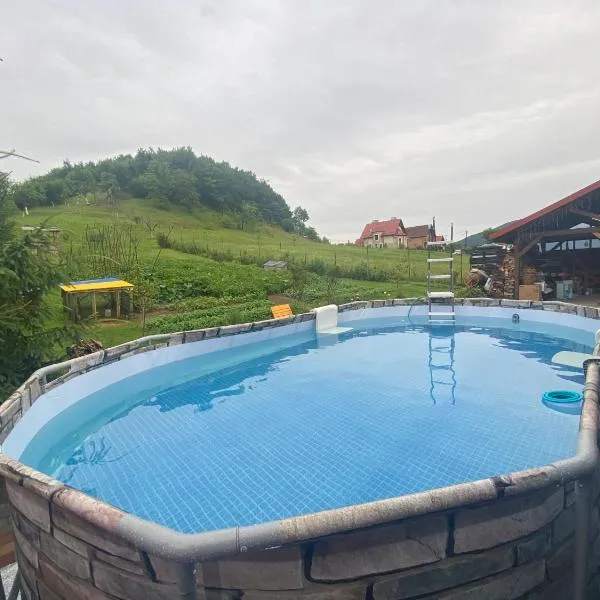 Садиба У Дохтора Відпочинок у Карпатах, hotel in Golubinoye