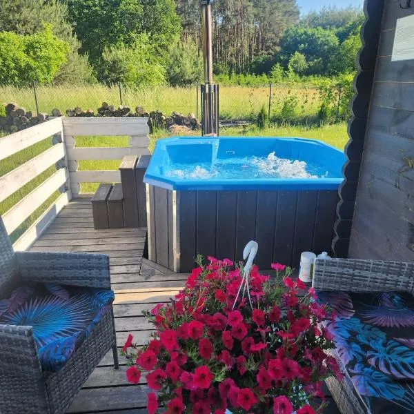 Szary Domek 2 jacuzzi sauna kominek klimatyzacja jezioro basen, hotel in Trojaczek