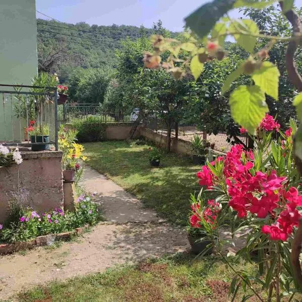 Vila Iva, hotel v destinaci Mali Izvor