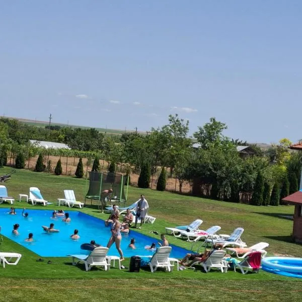 Pensiunea Paradiso, hotel v destinaci Sarinasuf
