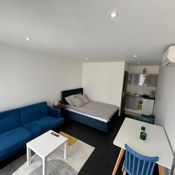 Studio Bleu, hotel v destinaci Obernai