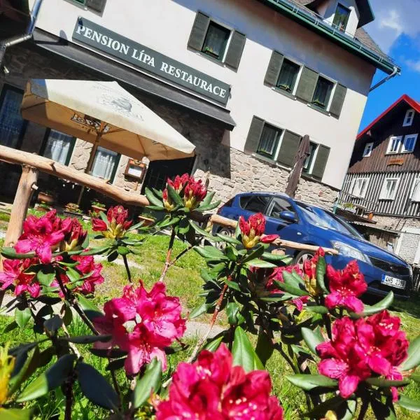 Pension Lípa, hotel v destinaci Horní Maršov