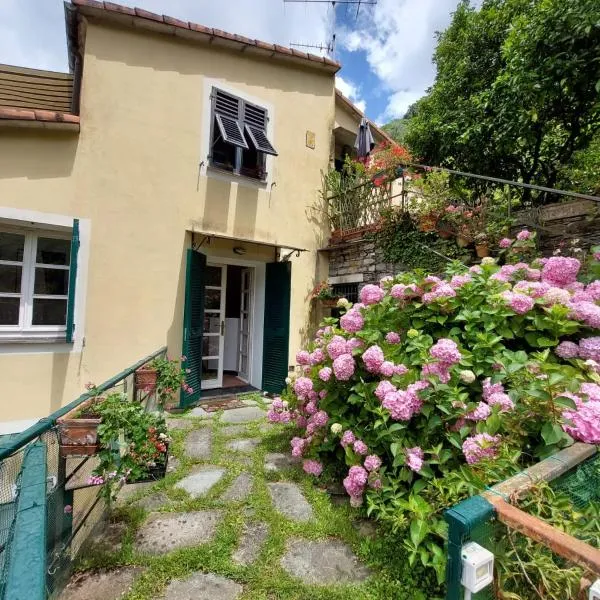 Pupetta Garden, hotel Soriban