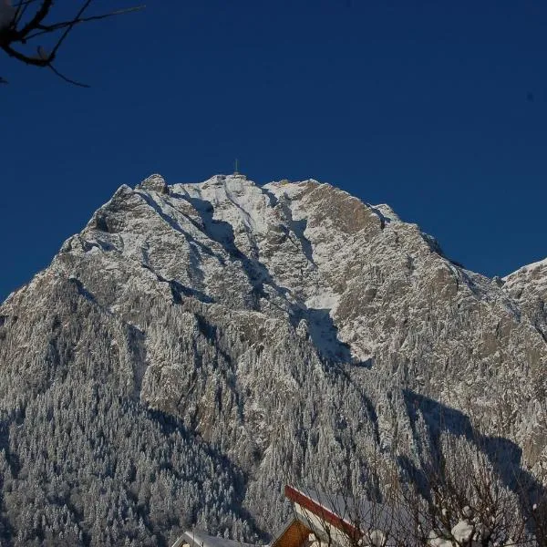 Cazare Casa Cristina, hotel en Bușteni