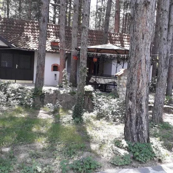 Apartman medju borovima, hotel v destinaci Vinci