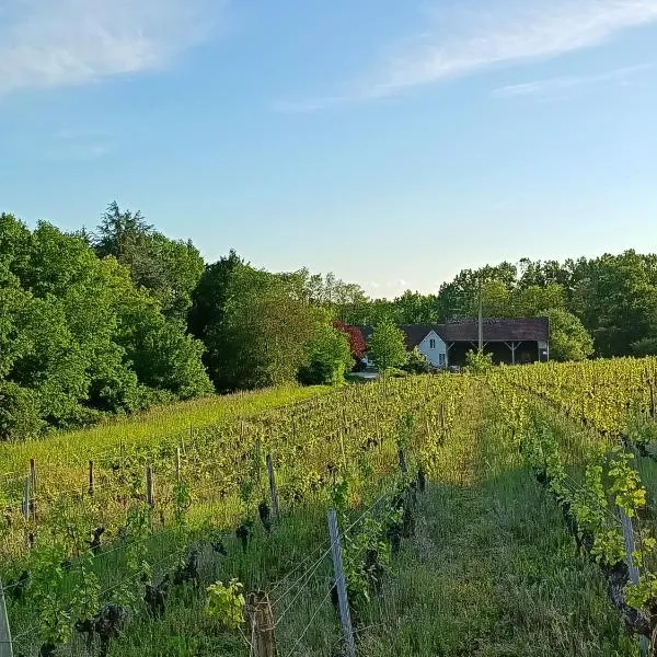 Gîte au milieu des vignes, hotel in Saint-Aignan