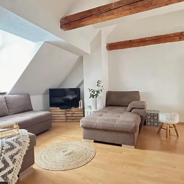 Altstadtloft Straubing, ξενοδοχείο σε Στράουμπινγκ