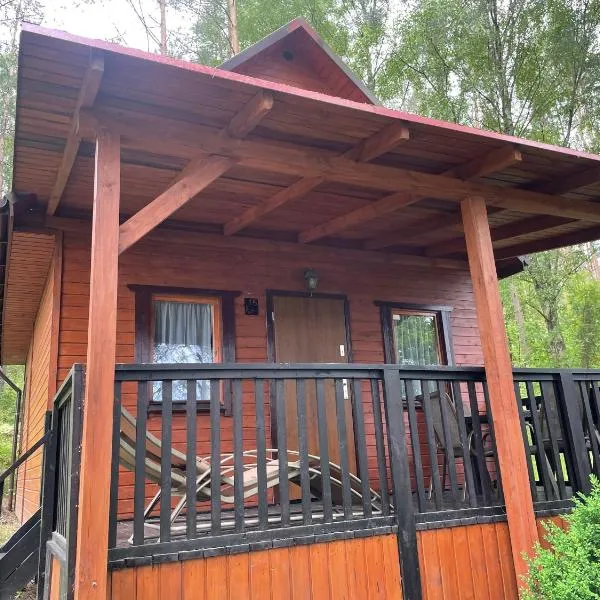 Domki Letniskowe Nad Jeziorem Kazub, hotel v destinácii Cieciorka