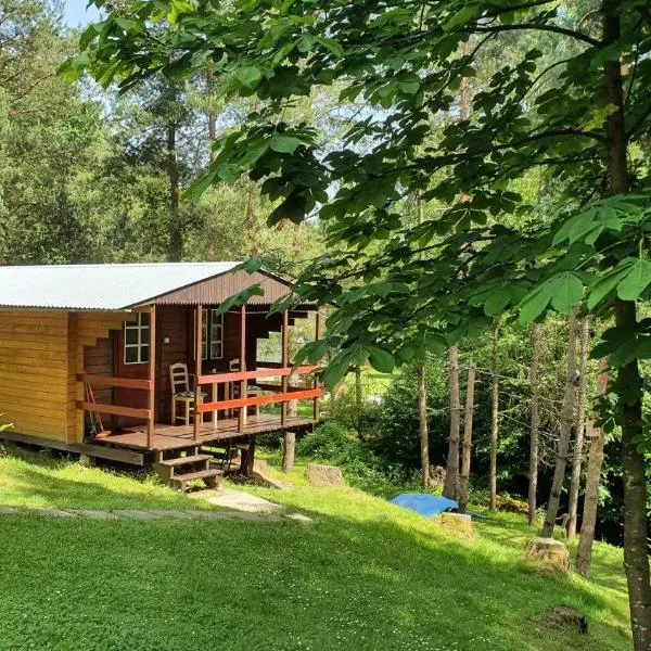 Domki letniskowe pod Brzozami Stella, hotel v destinaci Polańczyk