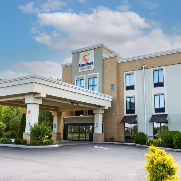 Comfort Suites-Youngstown North, hotel in Youngstown