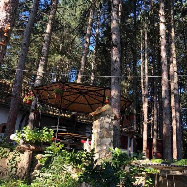 Apartman medju borovima 2, hotel in Vinci