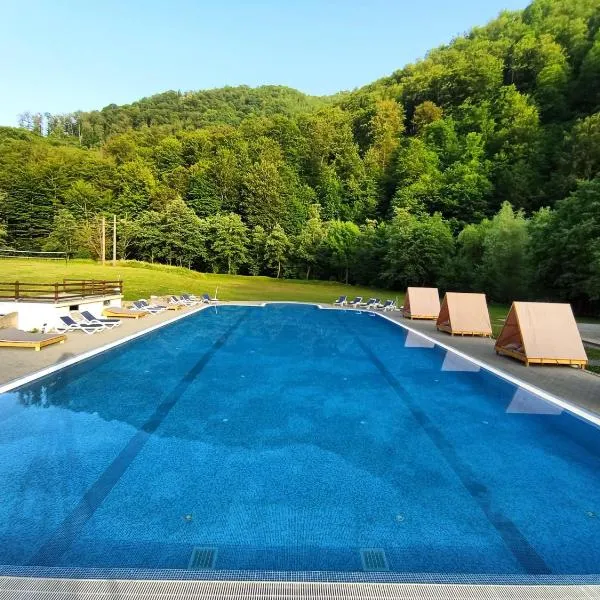 Pensiunea Poarta Raiului, Hotel in Cugir