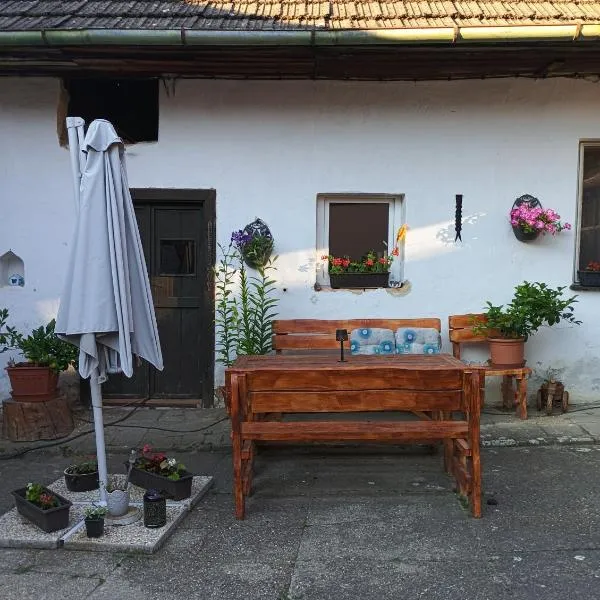 Ubytování U Pavly – hotel w mieście Borovany