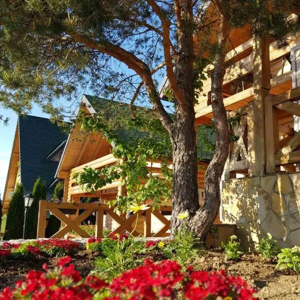 API komora Zlatibor, hotel in Zlatibor