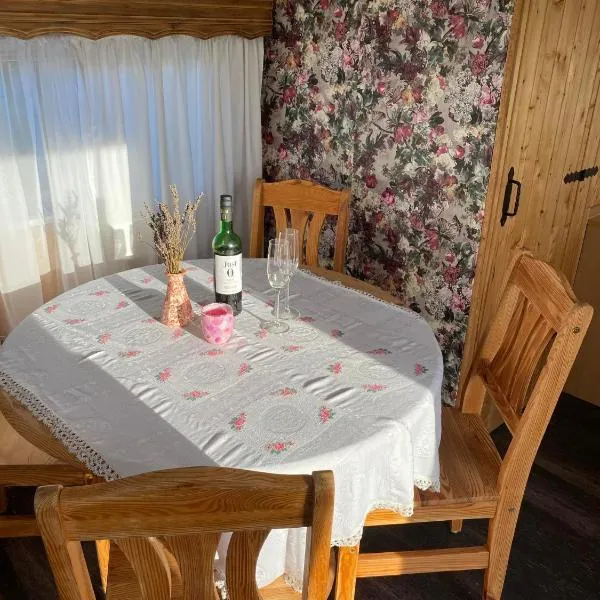 Przyczepa holenderska domek I, hotel v destinaci Przemysław