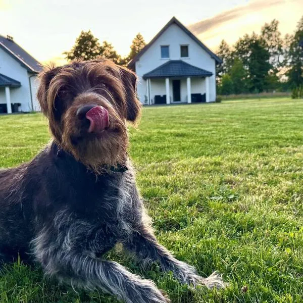 Sosnówka - domki nad morzem、コパリノのホテル