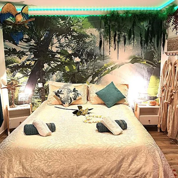 Jungle Spa - Cocon tropical et dépaysant avec balnéo en plein coeur de Pézenas !, hotel v destinaci Pézenas