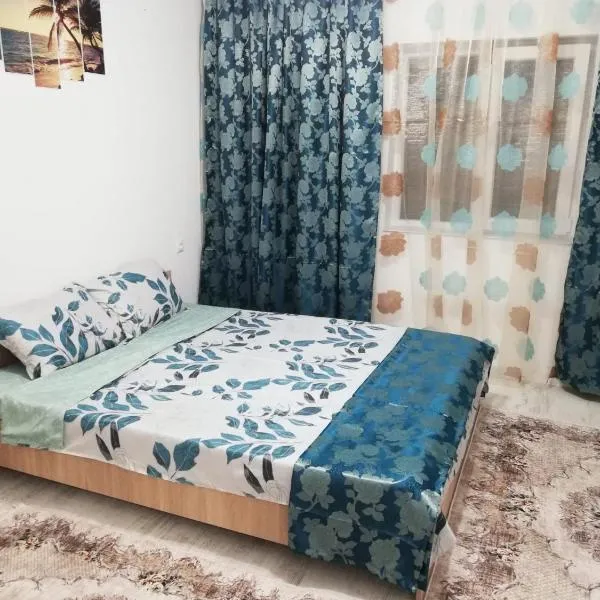 Căsuța de vacanță โรงแรมในนาโวดาริ