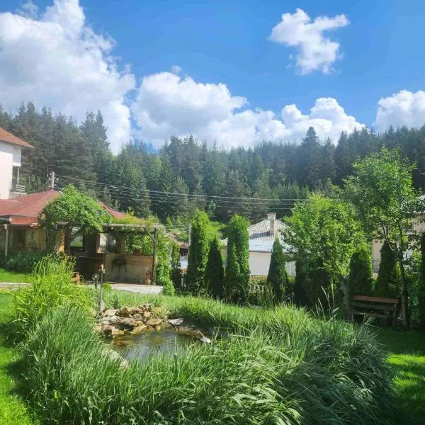 Guesthouse Classic, hotel in Dospat