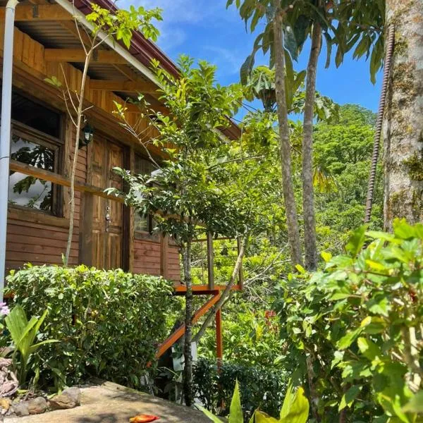 Cabaña de Montaña, hotel v destinaci Cartago