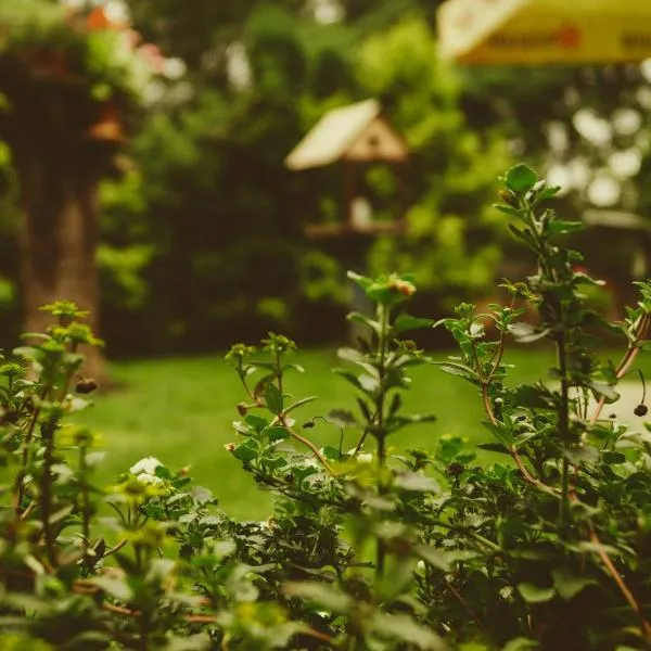Mango Tree Villa, hotel v destinaci Ernakulam