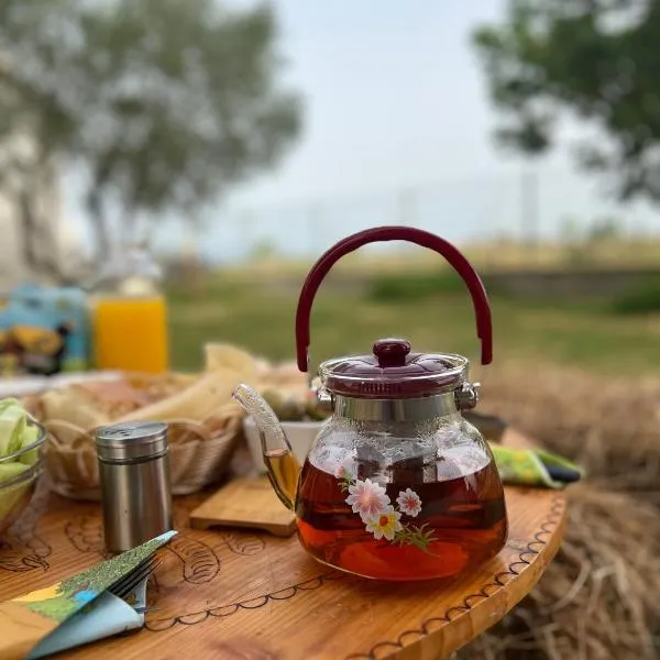 Camping villa lake shkodra, hotel a Omarë