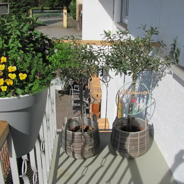 #1Gemütliches ruhiges sonniges Balkonzimmer mit Gemeinschaftsbad W-Lan Airport nah Late Night Check in Haus Nr 9,5, hotel in Trunkelsberg