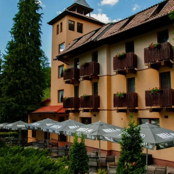 Vila Parc, hotel v destinaci Sovata