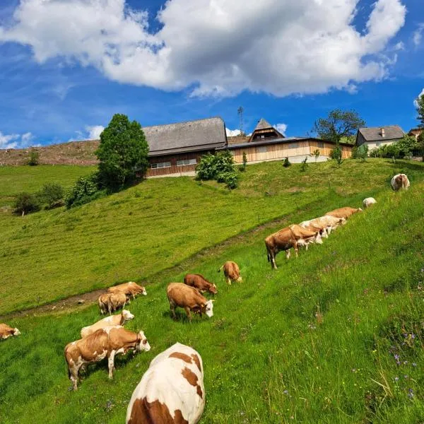 BIO-Peisingerhof, hotel v destinaci Sankt Stefan ob Leoben