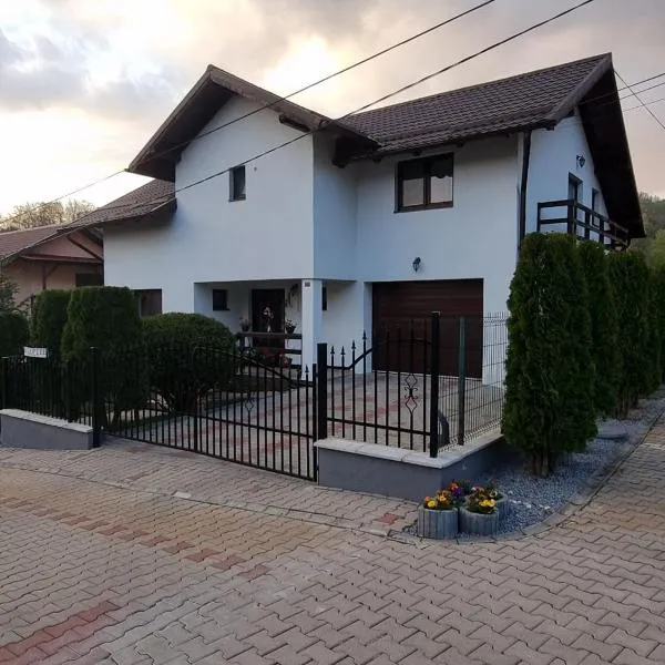 Pensiunea Azurul, hotel v destinaci Sovata