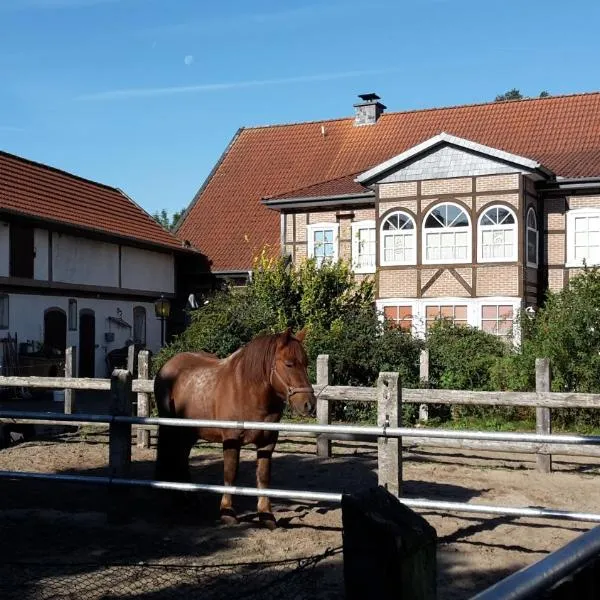 Ferienhof Hanum, hotell i Wittingen