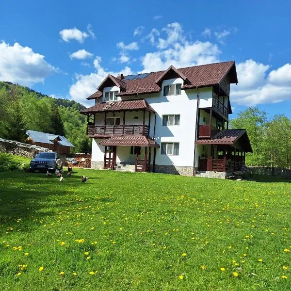 Sătic Casa Maria, hotel en Sătic