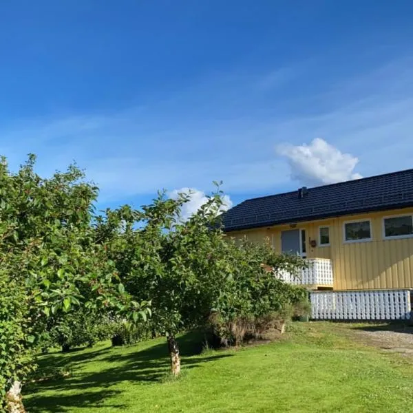 Sjarmerende hus i havgapet i Selje, hotel in Salt
