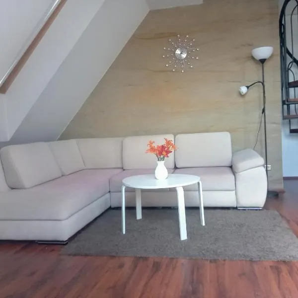 Dwupoziomowy apartament zielone spokojne rodzinne – hotel w mieście Wysoka