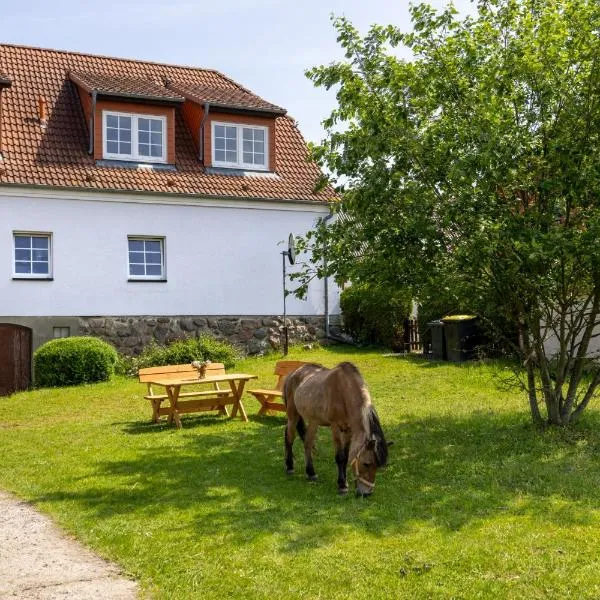 Ferienwohnung "FLORI's PONYHOF", hotel in Kröpelin