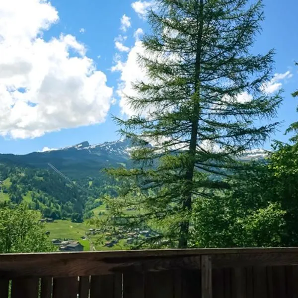 Marco Apartment - Aare Jungfrau AG, hotel i Grindelwald